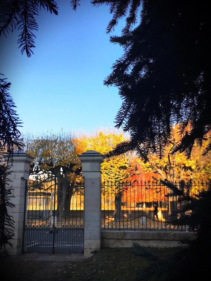 Manoir 1838 A - 3 Km Du Zoo De Beauval & Proche Des Chateaux 圣艾尼昂 外观 照片